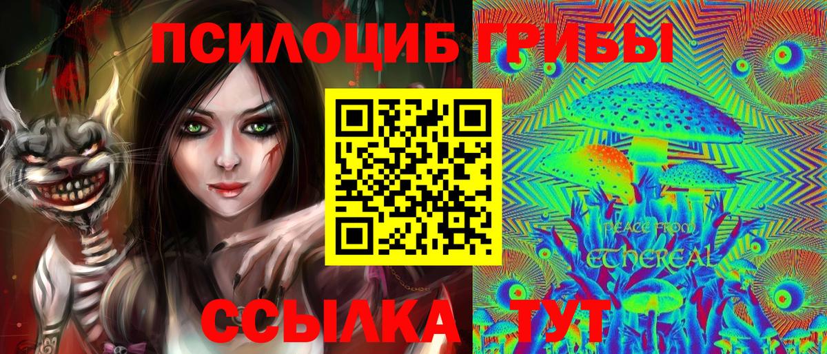 Галлюциногенные грибы Psilocybine cubensis  Вход с VPN  Новошахтинск 